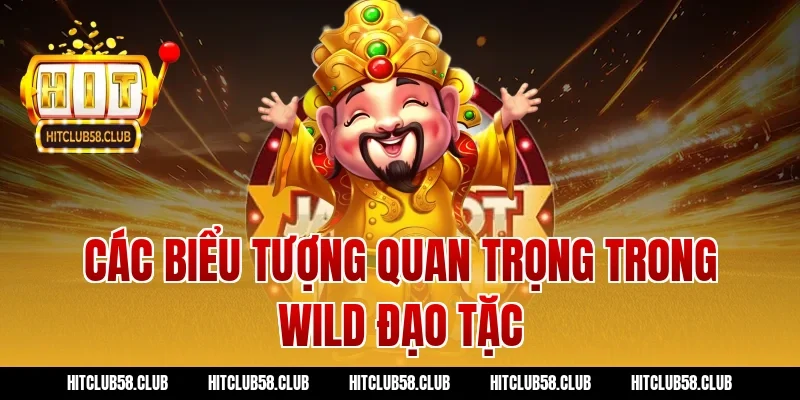 Các biểu tượng quan trọng trong wild đạo tặc