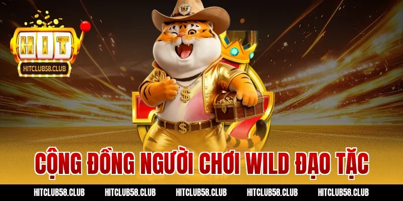 Cộng đồng người chơi wild đạo tặc