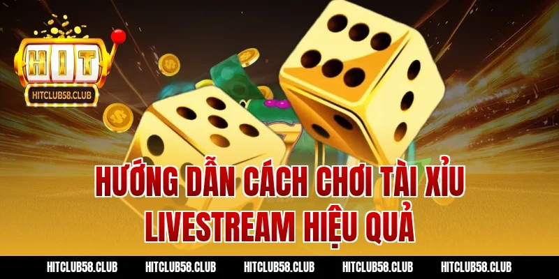 Hướng dẫn cách chơi tài xỉu livestream hiệu quả