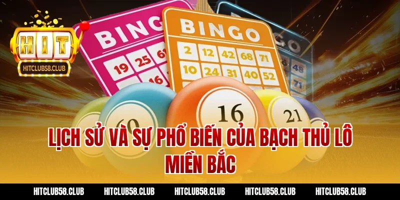 Lịch sử và sự phổ biến của bạch thủ lô miền bắc