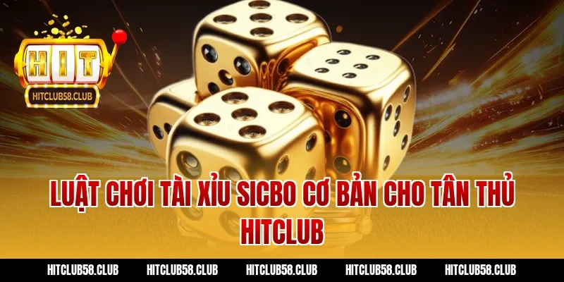 Luật chơi tài xỉu sicbo cơ bản cho tân thủ Hitclub