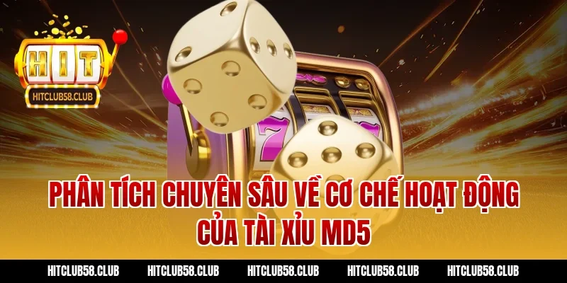 Phân tích chuyên sâu về cơ chế hoạt động của Tài xỉu MD5