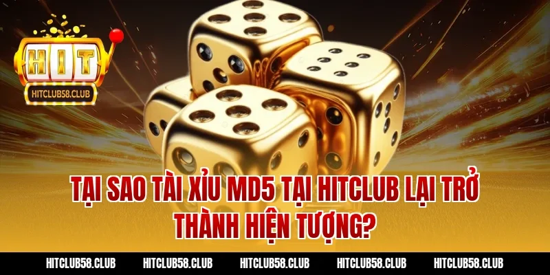 Tại sao Tài xỉu MD5 tại Hitclub lại trở thành hiện tượng?