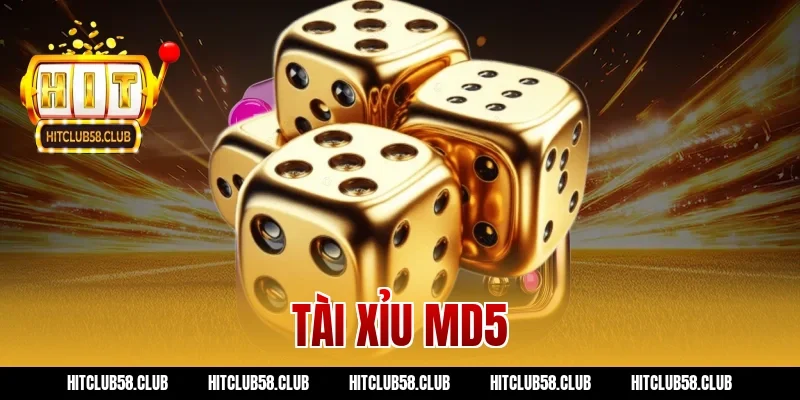 Game Tài Xỉu MD5 Hitclub: Cẩm Nang Chơi Là Thắng To Ngay