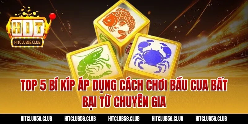 Top 5 bí kíp áp dụng cách chơi bầu cua bất bại từ chuyên gia